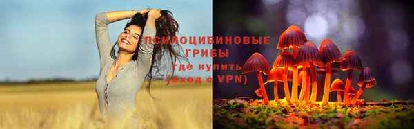 скорость Аркадак