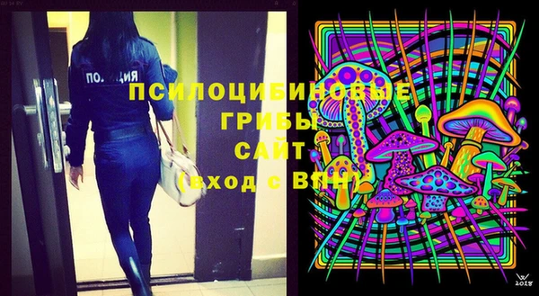 твердый Алзамай