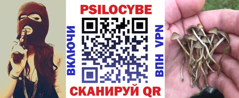Галлюциногенные грибы Psilocybe  маркетплейс телеграм  Белокуриха  MEGA рабочий сайт 